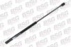 BSG BSG 30-980-003 Gas Spring, boot-/cargo area